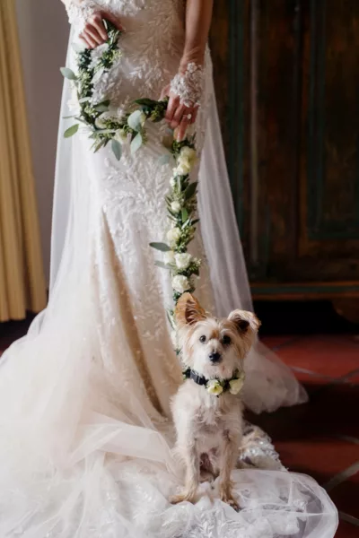 santa-lucia-wedding-photographer-katie-jesse-131