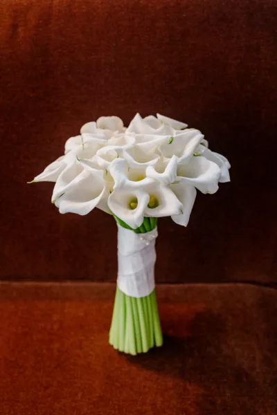 stephanie-jordan-new-york-city-wedding-cipriani-005